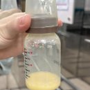 파티마여성병원 | 출산일기 3. 파티마여성병원 제왕절개 후기 3탄 (모유사랑 마사지)