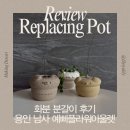 용인 남사 화훼단지 화분 분갈이 후기[예삐플라워아울렛]