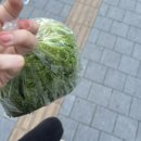 5월이.. 끝났다구요..?