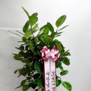 대박기원농장 이미지