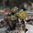 야경포차 이미지