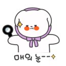 샬롬플라워 이미지