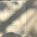 카페 오가닉 | 대구 중구 카페 자연 속 힐링 공간 오가닉모가 후기