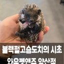 와우펫앤쥬 양산점 이미지