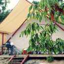 위크온 글램핑 이미지