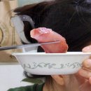 해마음 | 농라 해마음 8kg 대방어 구매후기