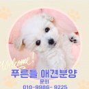 푸른들동물병원 이미지