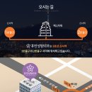 휴먼성형외과 네이버블로그