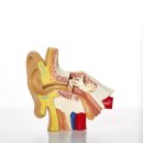 포낙보청기안양인덕원센터 이미지