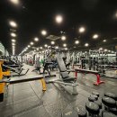 엘바디핏 이미지