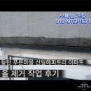 푸른산업 | 동탄 푸른마을 신일해피트리 그라인더+올제거 시공후기