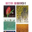 봉선화물들이다
