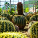 완도수목원 이미지