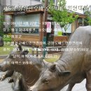 횡성 이미지
