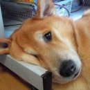 16 이미지