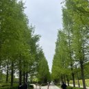 인천남동사업소 | &lt;인천대공원 너나들이 캠핑장&gt; C구역 명당 가족모임 이용후기 / 예약방법 / 매점정보 / 구역별 총정리