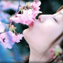 꽃보다아름다운당신 이미지