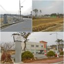 송기농로 이미지