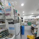 성남동 4128(모란시장사거리) | 성남동 동물병원 한국동물병원 진료시간 접근성 이용후기