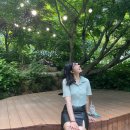 청평교회 건너편 | 가평 당일치기 코스 가볼만한 곳 _ 아침고요수목원 끝난 수국축제 후기, 사계절을 모두 즐길 수 있는 곳