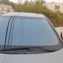 NEXGARD일산