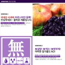 다운정 이미지
