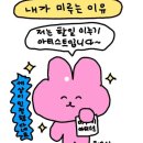 드무드서울