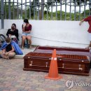 엘코시스템 이미지