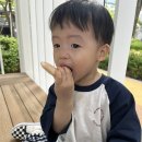 꼬마곰놀이터 이미지