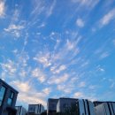 야미하우스 이미지