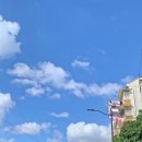 [광나루아카데미]대한민국을 만든 한국인의 마음, 그 소통 | 상하이 여행 애견동반 2일차 대한민국 임시정부, 뉴욕베이글, 신천지, 하메이, 예원, 점도덕