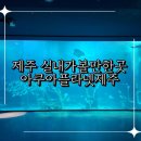 아이와 제주 실내가볼만한곳 볼거리 다양한 아쿠아플라넷제주