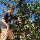 효심 농장 이미지