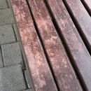 샛말어린이공원 이미지