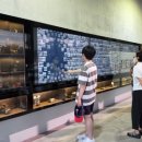 야경시티투어 이미지