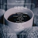 블루메플레르