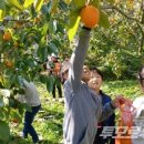 가정 농촌체험 휴양마을 이미지