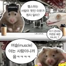 원웨이 피트니스 모현송학점 이미지