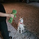 레드포스 PC 아레나 왕십리점 이미지