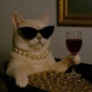 잠실종합사회복지관 이미지