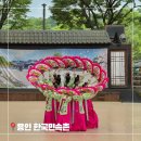 동의보감촌상설마당극공연 | 용인 가볼만한 곳 한국민속촌 입장료 및 공연, 체험, 놀이기구