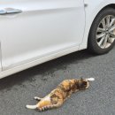 평화이용원 이미지