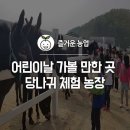 동키캐슬 캠핑장 이미지