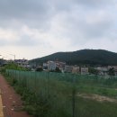 구읍뱃터 이미지