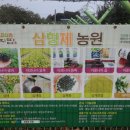 삼형농장 네이버블로그