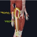 박상용한의원 이미지