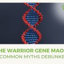 제주도 2025겨울일기 14. 전사유전자 warrior gene는 괴로워! 이미지