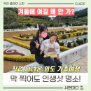 동굴에 평화의 동백이 | 거제도 외도 보타니아 겨울 여행으로 꼭 가봐야 하는 곳! 유람선 꿀팁과 소요시간 정리
