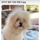 지*기