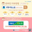 담다푸드 이미지